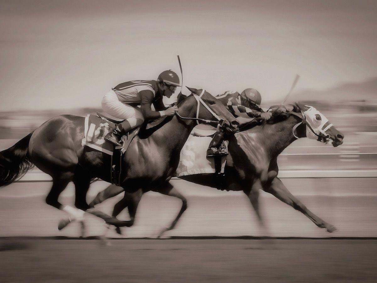 فندق ذا بلازا بايونير بارك إل باسو المظهر الخارجي الصورة Thoroughbred horses racing